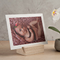 Boutique Portfolio